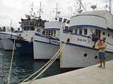 P7250052