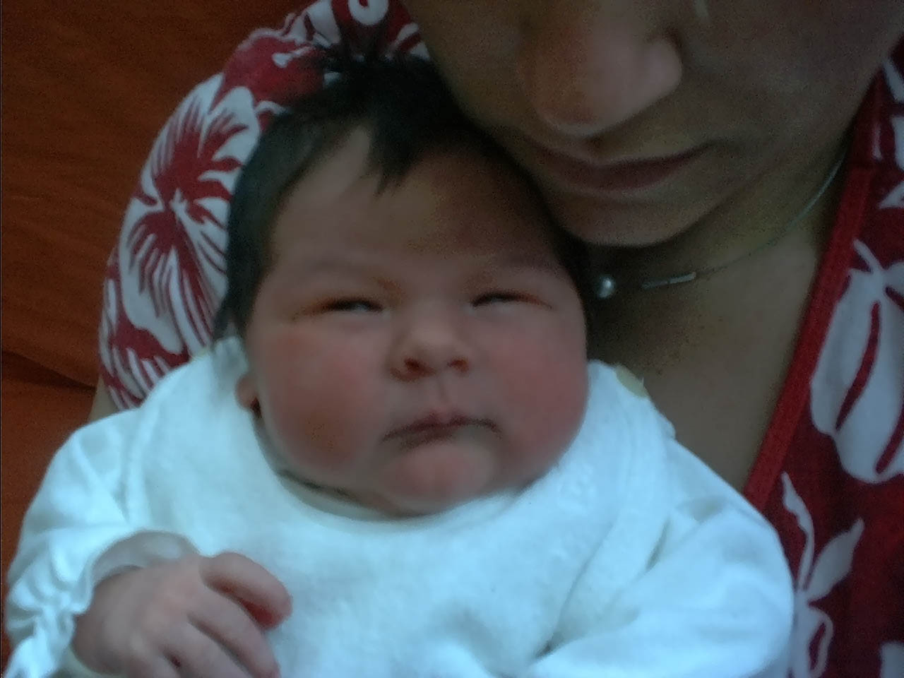 Lola 17.04.2003